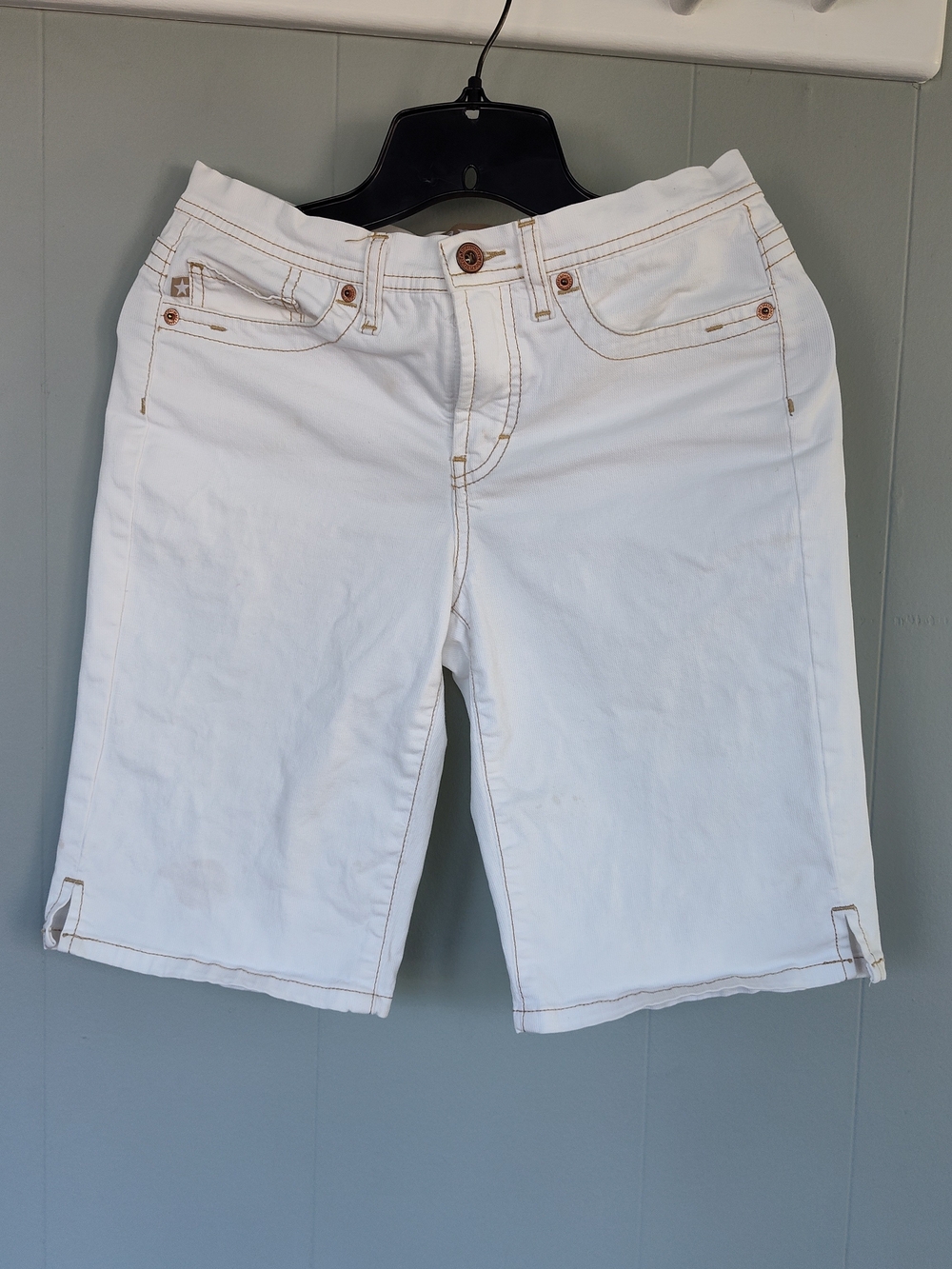 Stained Bermuda Shorts for a special project